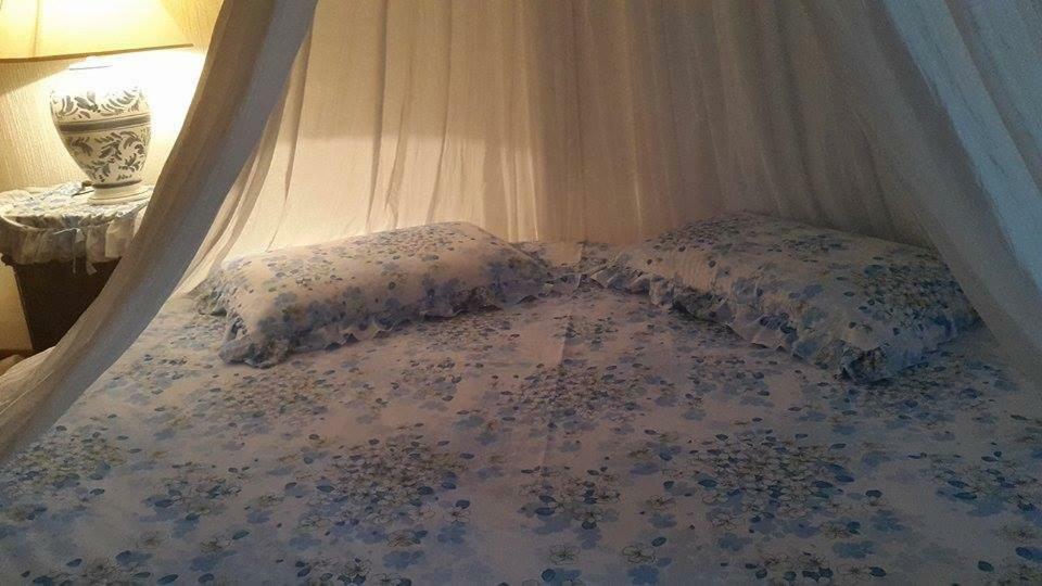 Albisola Bed And Breakfast アルビソーラ・スペリオーレ エクステリア 写真